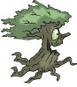 B�UME