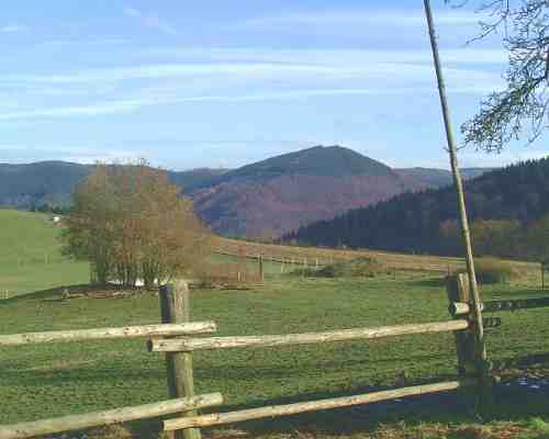 Aussicht vom Hof in das Tal